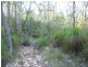Lot 15 Creevey Drive, Captain Creek QLD 4677