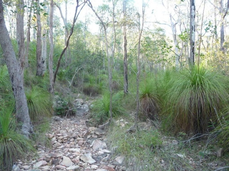 Lot 15 Creevey Drive, Captain Creek QLD 4677