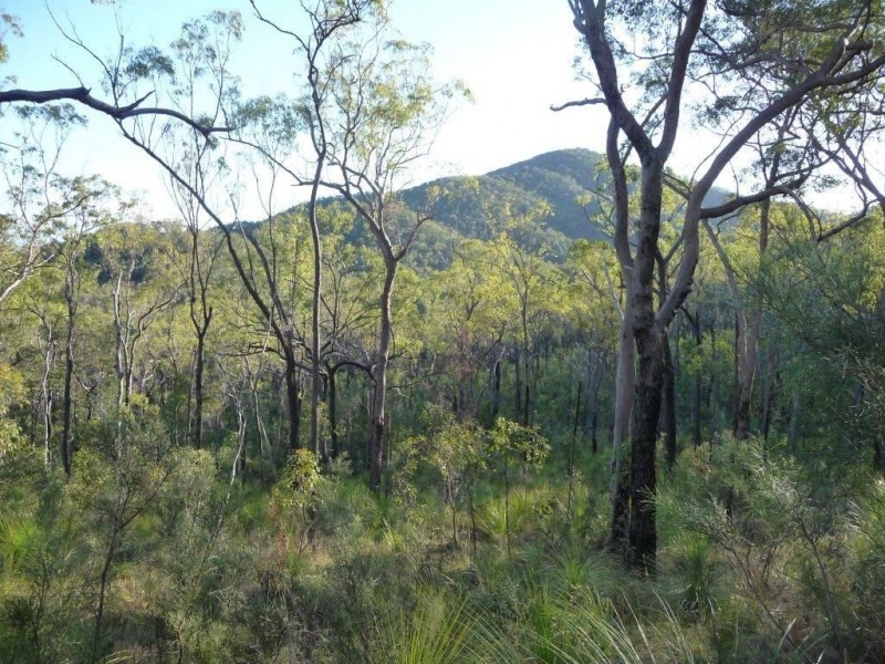 Lot 15 Creevey Drive, Captain Creek QLD 4677