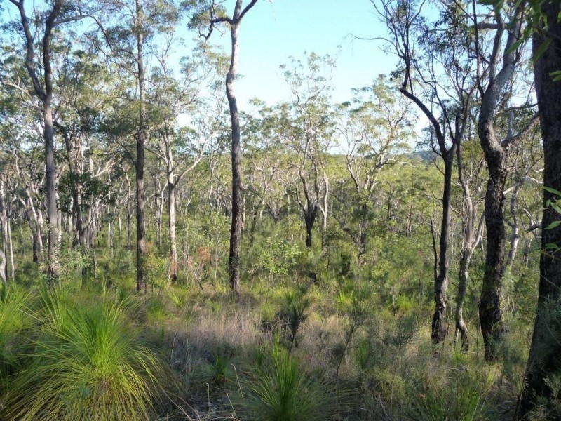 Lot 15 Creevey Drive, Captain Creek QLD 4677