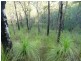 Lot 15 Creevey Drive, Captain Creek QLD 4677