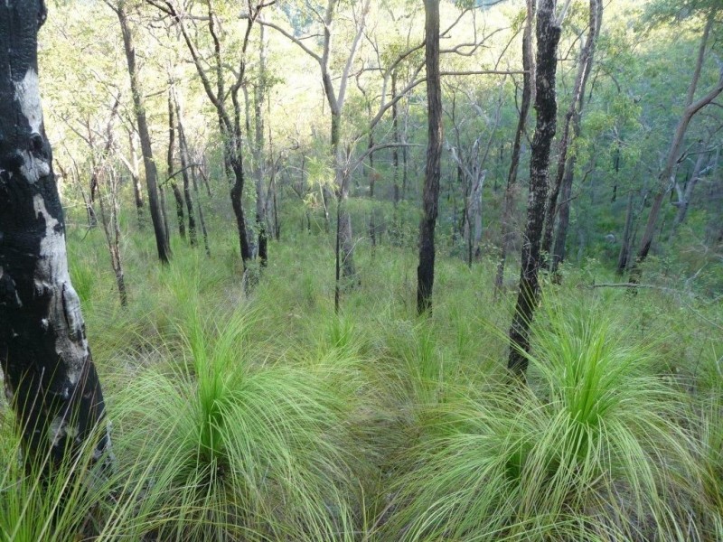 Lot 15 Creevey Drive, Captain Creek QLD 4677