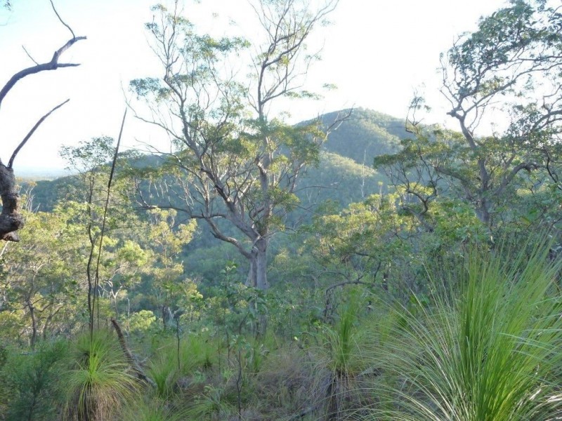 Lot 15 Creevey Drive, Captain Creek QLD 4677