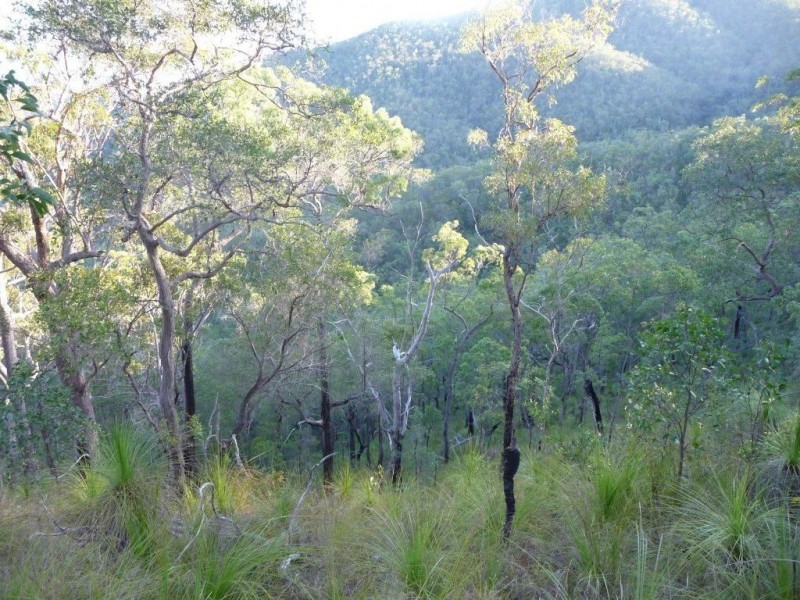 Lot 15 Creevey Drive, Captain Creek QLD 4677