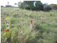 Lot 50 Ocean Ridge, Agnes Water QLD 4677