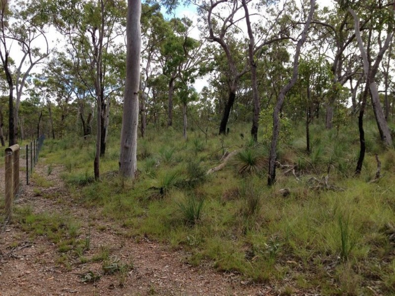 Lot 129 Avocado Crescent, Captain Creek QLD 4677