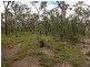 Lot 129 Avocado Crescent, Captain Creek QLD 4677