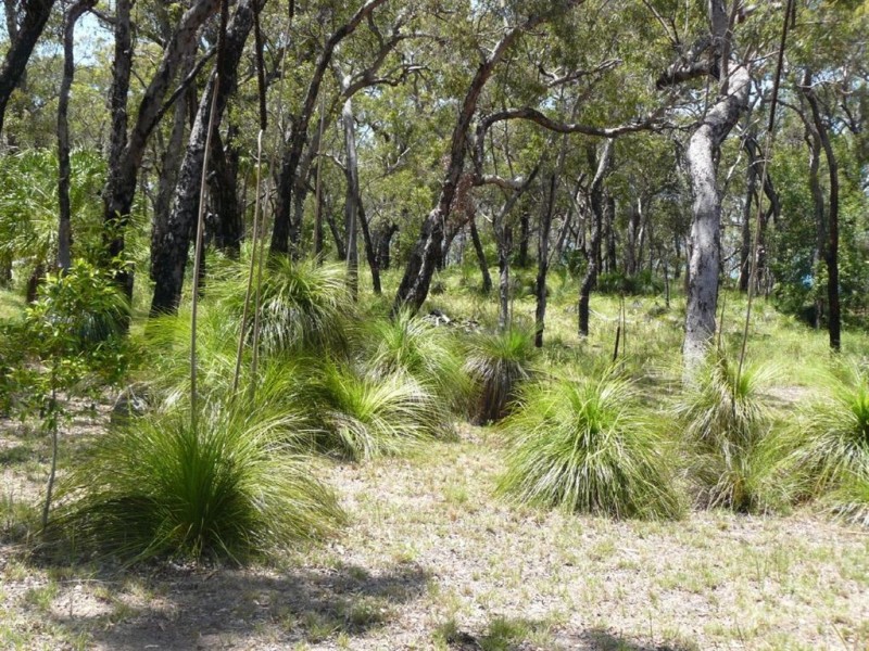 Lot 27 Springs Road, Agnes Water QLD 4677