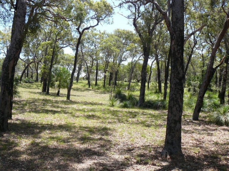 Lot 27 Springs Road, Agnes Water QLD 4677