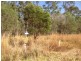 Lot 7 Round Hill Road, Captain Creek QLD 4677