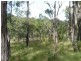 Lot 209 Davies Road, Captain Creek QLD 4677