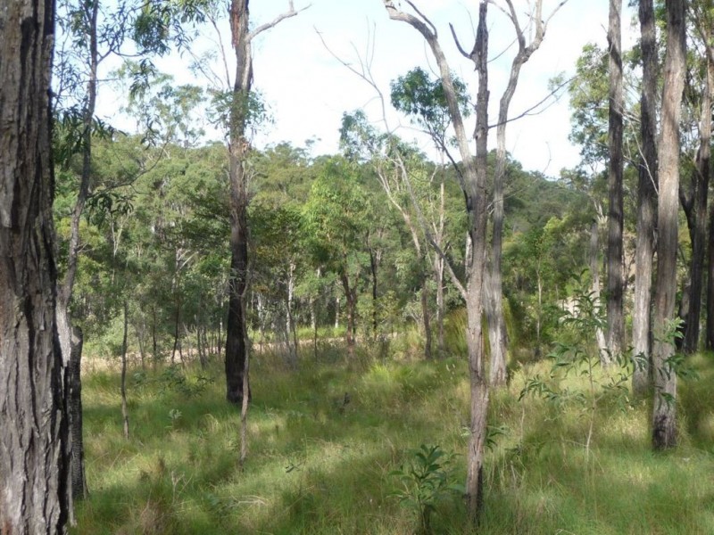 Lot 209 Davies Road, Captain Creek QLD 4677