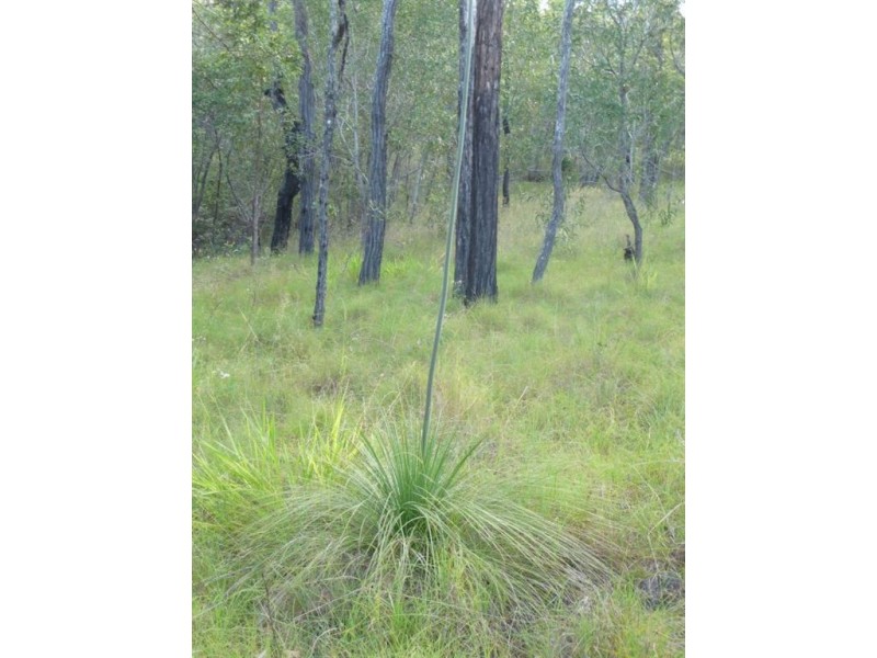 Lot 209 Davies Road, Captain Creek QLD 4677