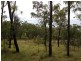 Lot 209 Davies Road, Captain Creek QLD 4677
