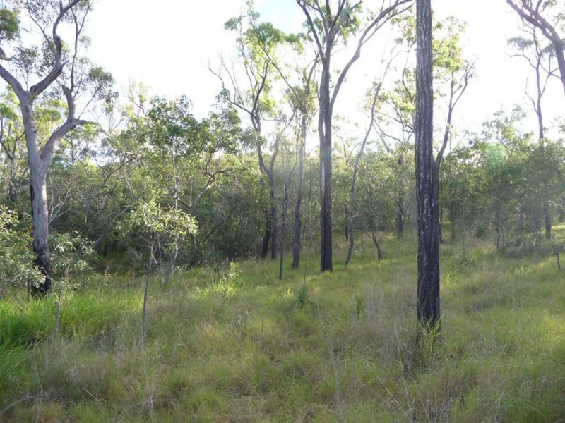 Lot 209 Davies Road, Captain Creek QLD 4677
