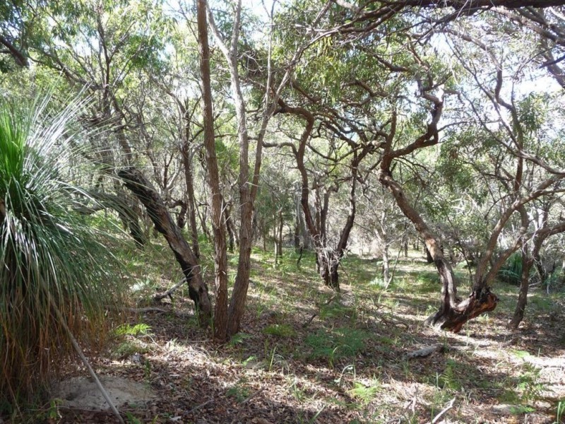 LOT168 Springs Road, Agnes Water QLD 4677
