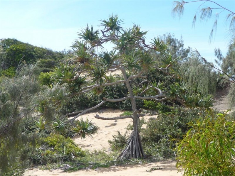 LOT168 Springs Road, Agnes Water QLD 4677