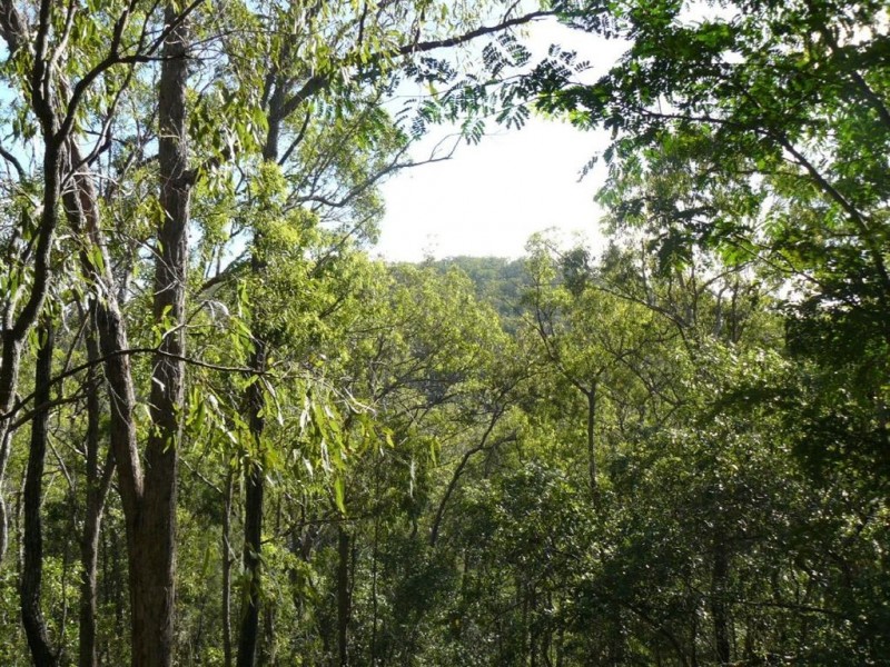 Lot 62 Creevey Drive, Captain Creek QLD 4677