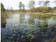 32 Newtons Road, Rosedale QLD 4674