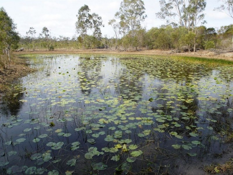 32 Newtons Road, Rosedale QLD 4674