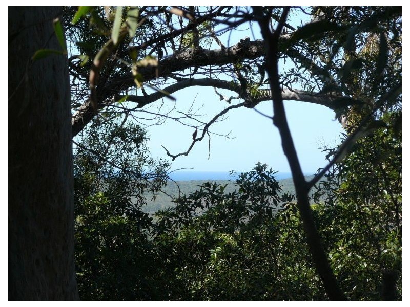 58 Rafting Ground, Agnes Water QLD 4677