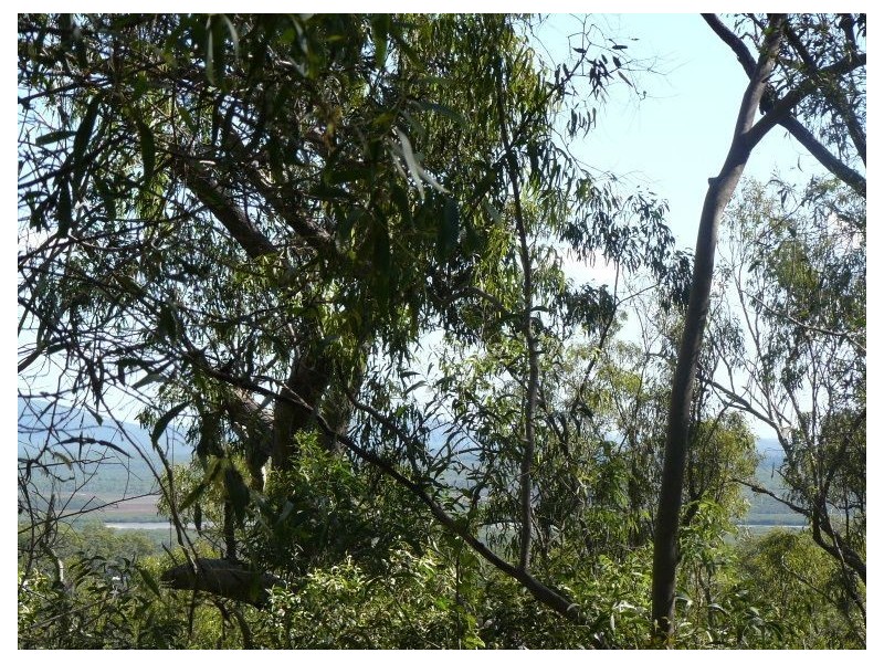 58 Rafting Ground, Agnes Water QLD 4677