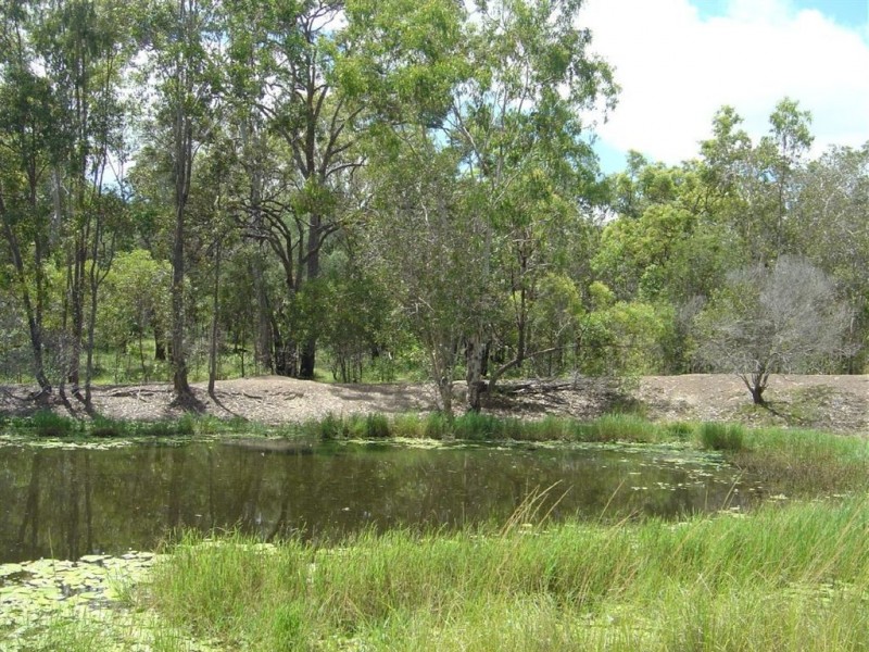 Lot 10 Palm Grove Road, Round Hill QLD 4677