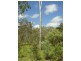 Lot 10 Palm Grove Road, Round Hill QLD 4677
