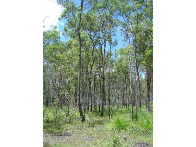Lot 10 Palm Grove Road, Round Hill QLD 4677