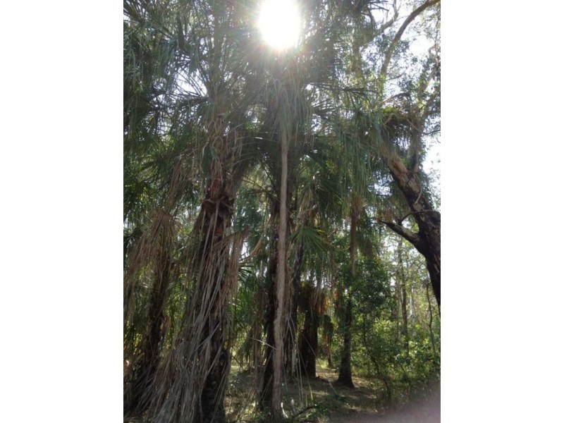 Captain Creek QLD 4677