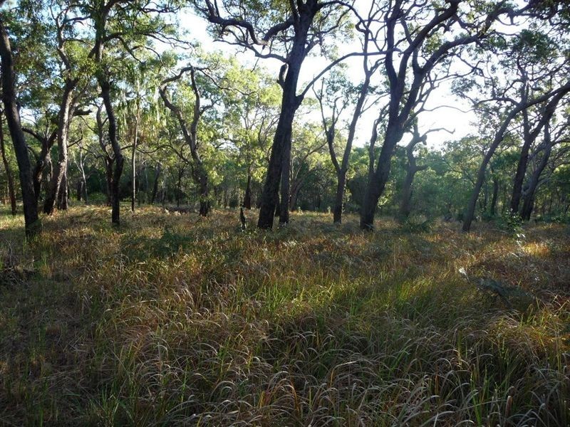 Lot 134 Springs Road, Agnes Water QLD 4677