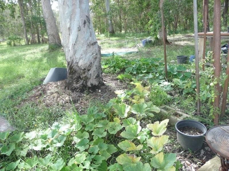 Agnes Water QLD 4677