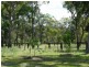 Captain Creek QLD 4677