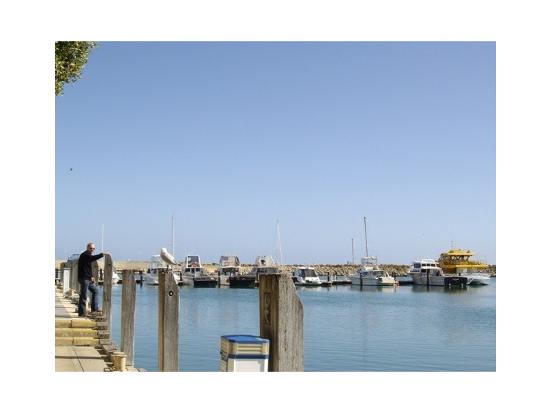 12 Starcap Place, Quinns Rocks WA 6030