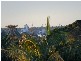 100 View Terrace, Bicton WA 6157