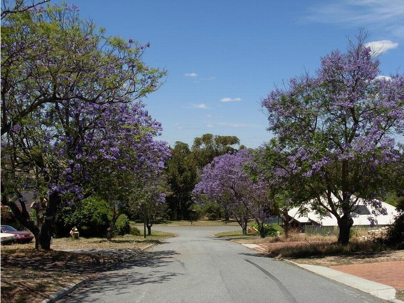 7 Edgar Way, Mount Pleasant WA 6153