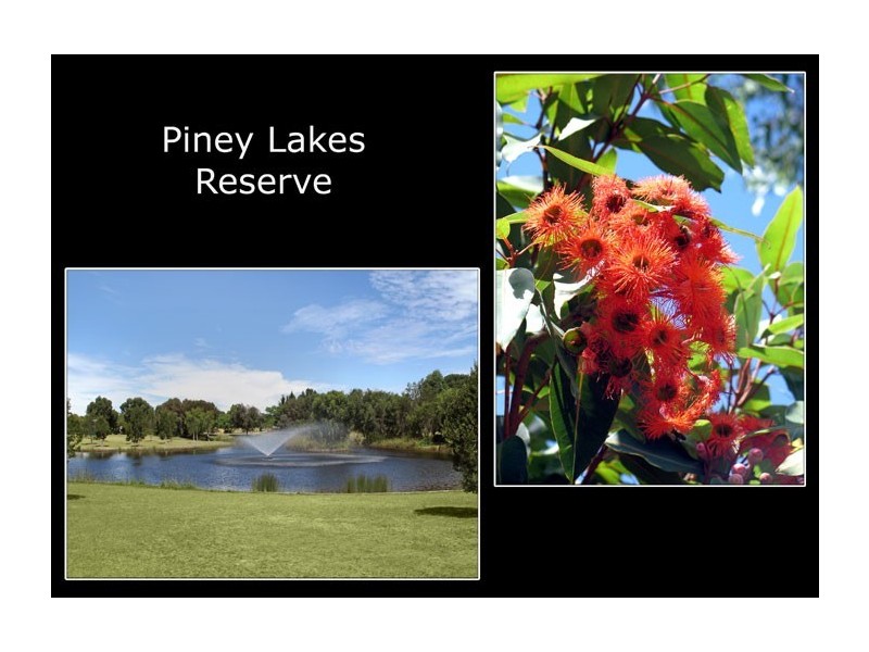 12 Boylen Rise, Winthrop WA 6150