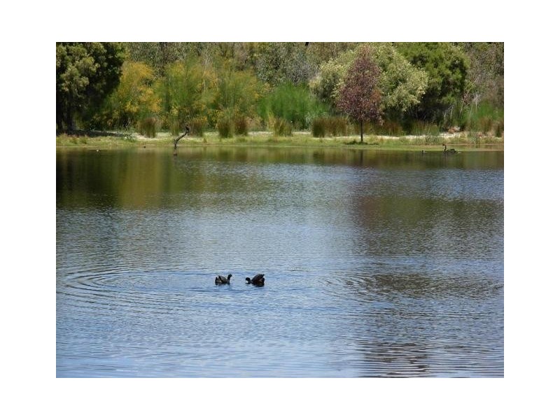 5 Gough Place, Booragoon WA 6154