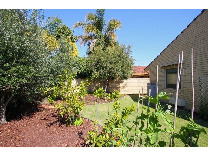 3 Verco Court, Booragoon WA 6154