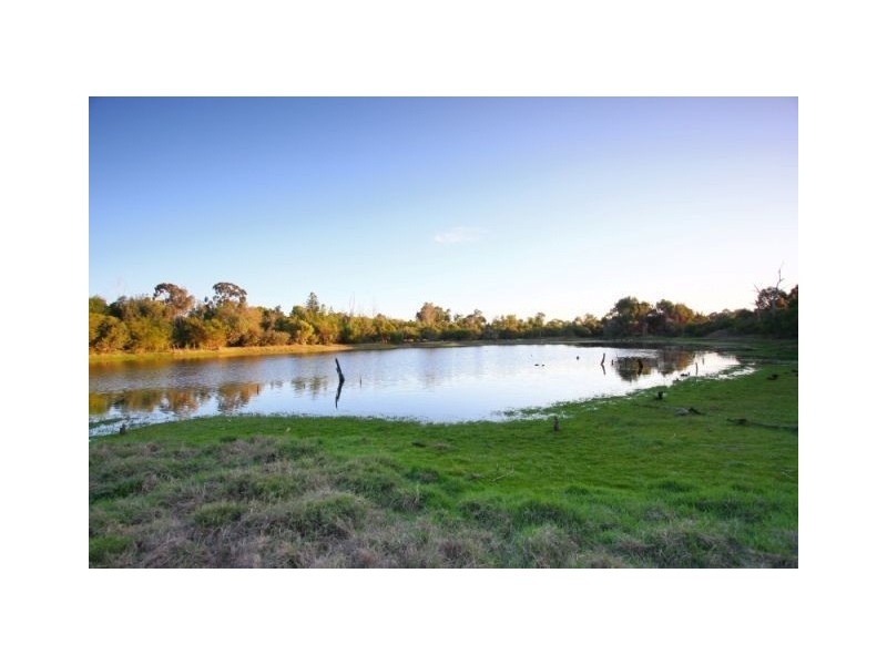 205 Reynolds Road, Mount Pleasant WA 6153