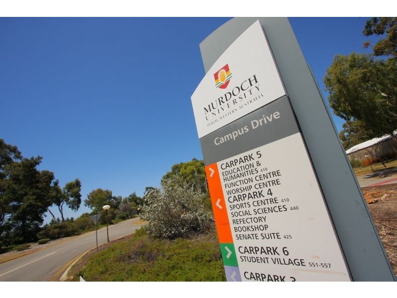 124 Gilbertson Road, Kardinya WA 6163