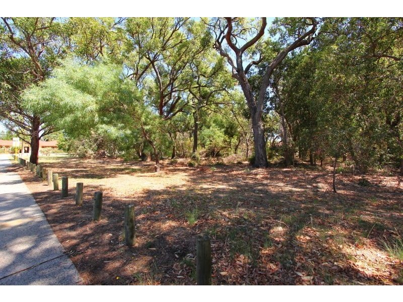 43 Ochiltree Way, Kardinya WA 6163