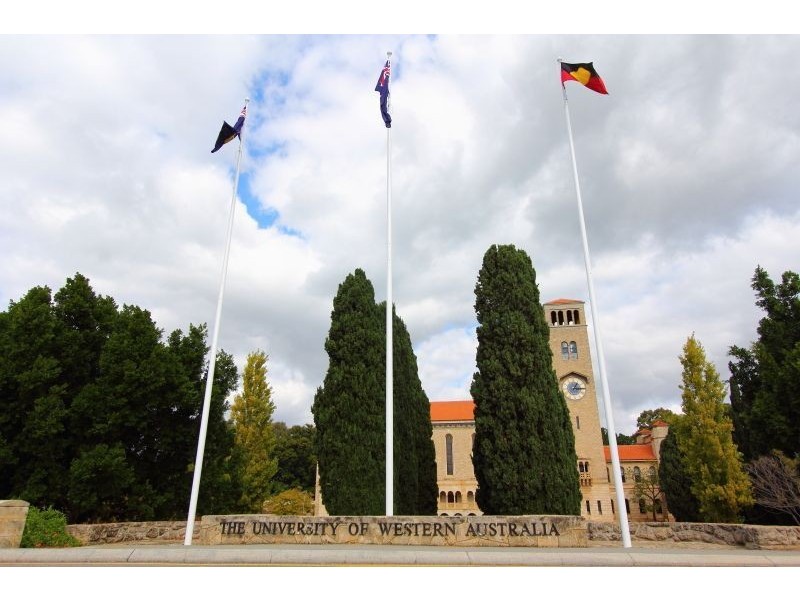 3 Lupin Hill Grove, Nedlands WA 6009