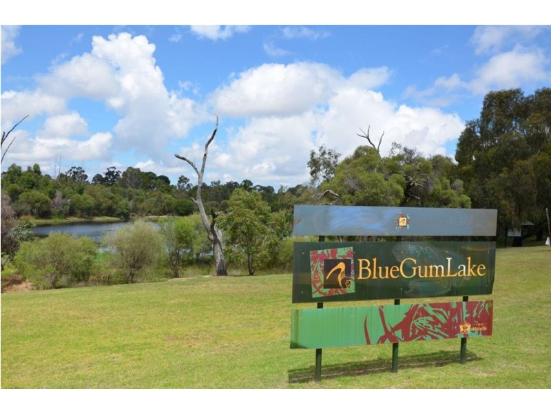 205 Reynolds Road, Mount Pleasant WA 6153