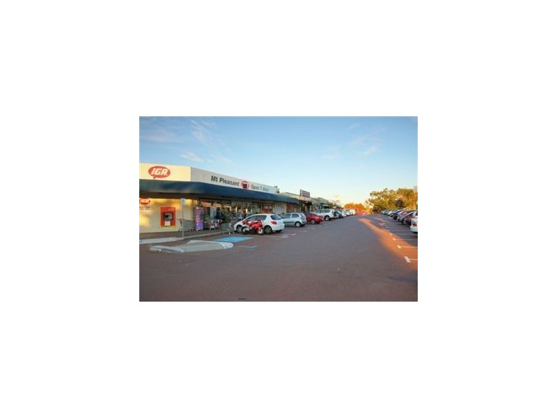 205 Reynolds Road, Mount Pleasant WA 6153