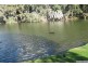 11/132 Mounts Bay Road, Perth WA 6000