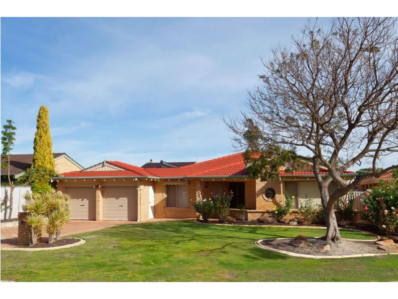 17 Anderton Rtt, Murdoch WA 6150