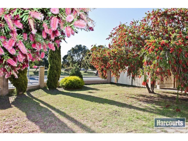 18 Hawke Pass, Bateman WA 6150
