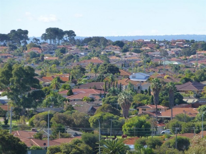 10 Hotchin Way, Kardinya WA 6163