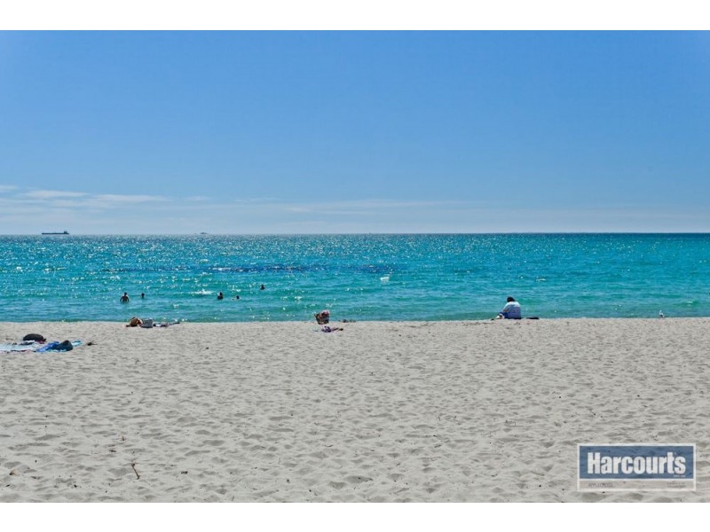 42 Newark Turn, North Coogee WA 6163